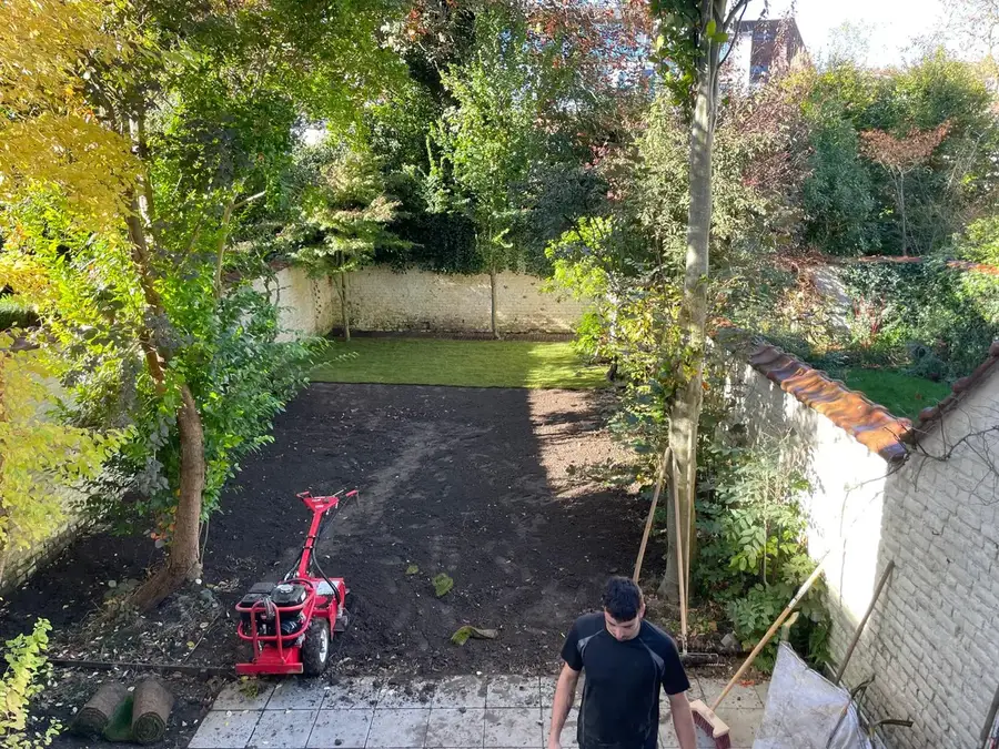 Création de pelouses