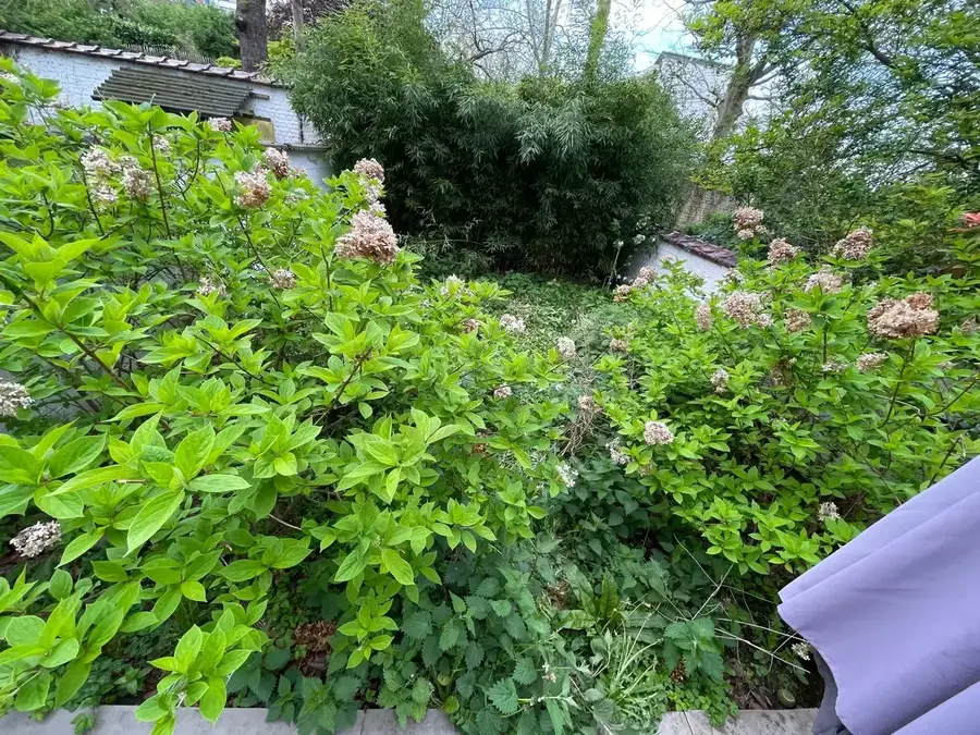 Remise en état de jardin